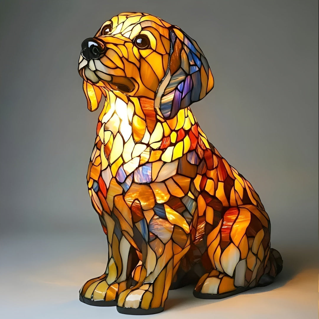Buddy | Golden Retriever z Duchową Światłością